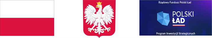 zestaw logotypów: flaga polski godło polski logo polski ład